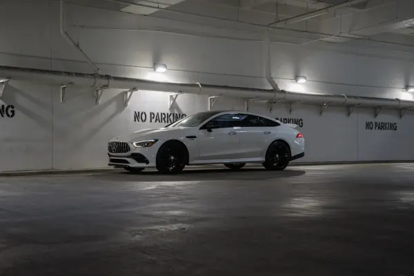 Kaszinó Mr Rex Android/iOS Alkalmazás